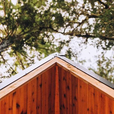 인덱스 The Treeframe Cabin 빌라 외부 사진