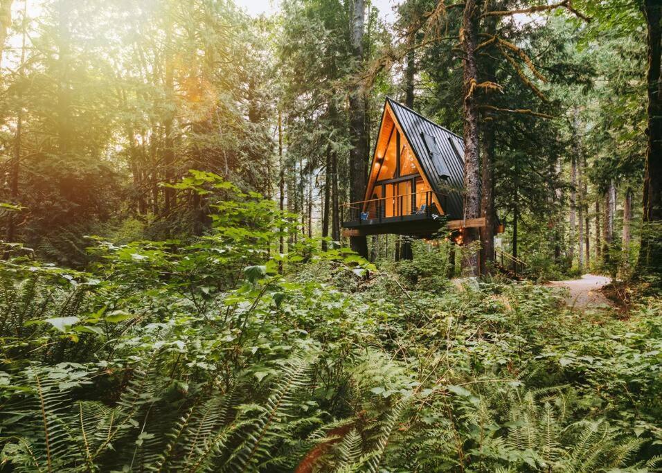 인덱스 The Treeframe Cabin 빌라 외부 사진