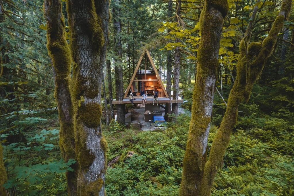 인덱스 The Treeframe Cabin 빌라 외부 사진